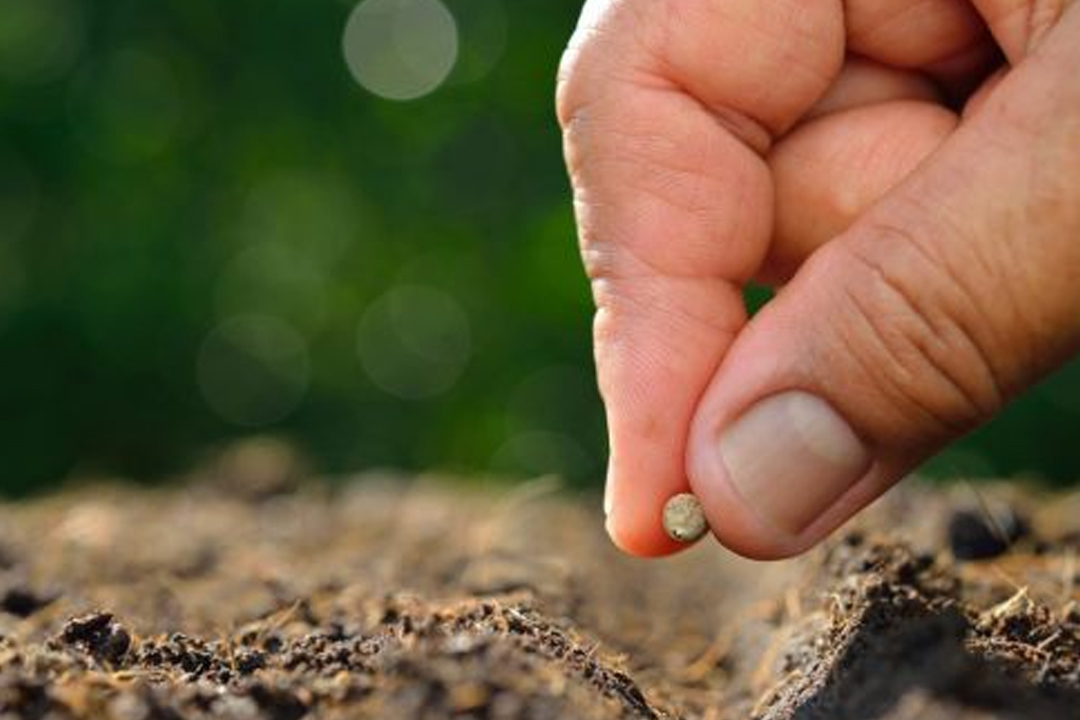 Dont despise the days of small beginnings 2